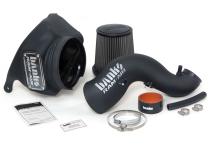 Ram-Air Cold-Air Intake System Dry Filter 2013-2018 6.7L Cummins Diesel Banks Power